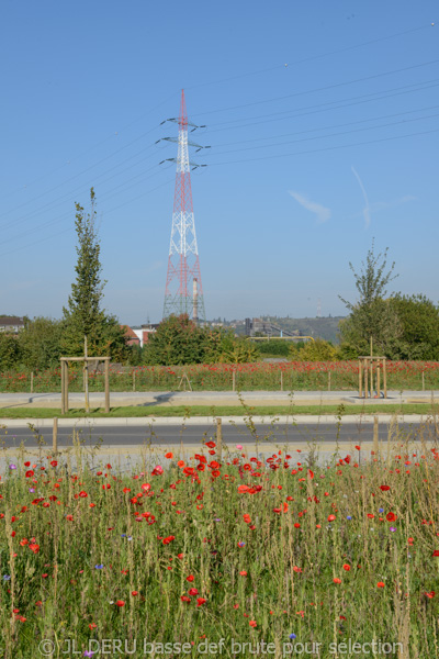 Boulevard urbain à Seraing - phase 1